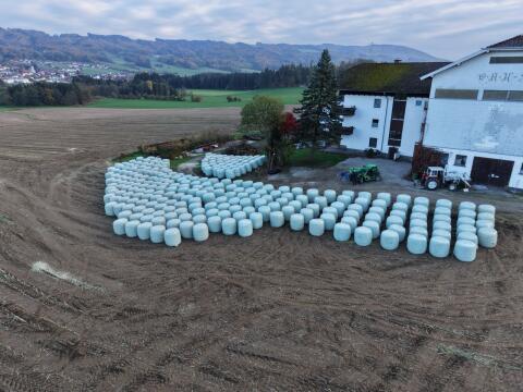 Maissilageballen
