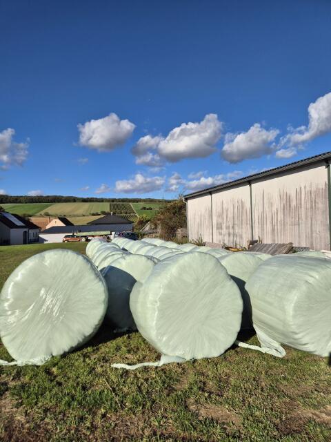 Verkaufe Silageballen