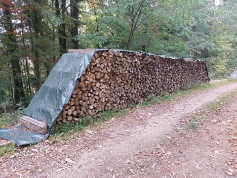Brennholz