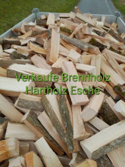 Brennholz Ahorn, Esche