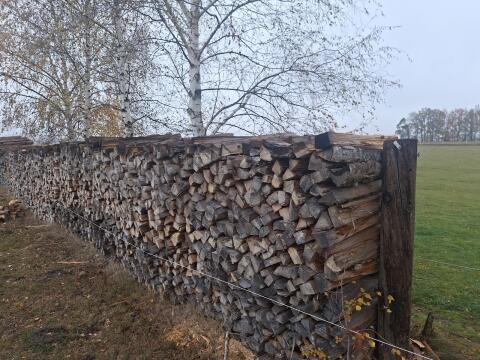 Brennholz