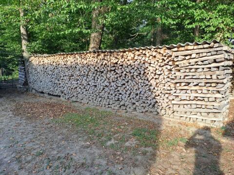 Brennholz
