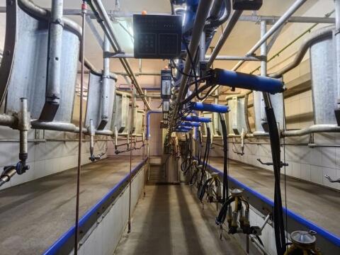 Melkstand DeLaval