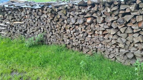 Brennholz Fichte