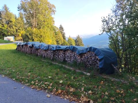 Brennholz-Bündel Hartholz