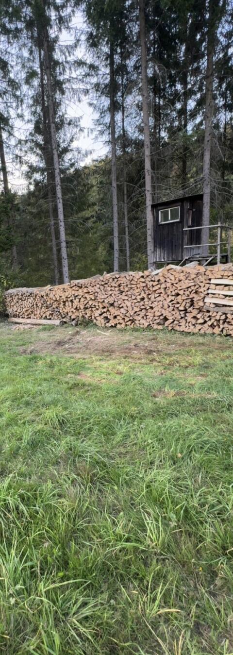 Brennholz zu verkaufen