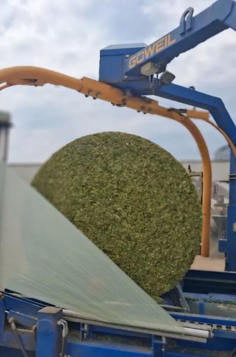 Maisballen