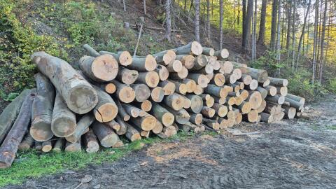 Brennholz