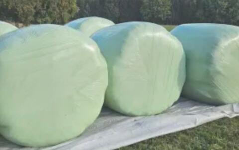 Gras-Silageballen