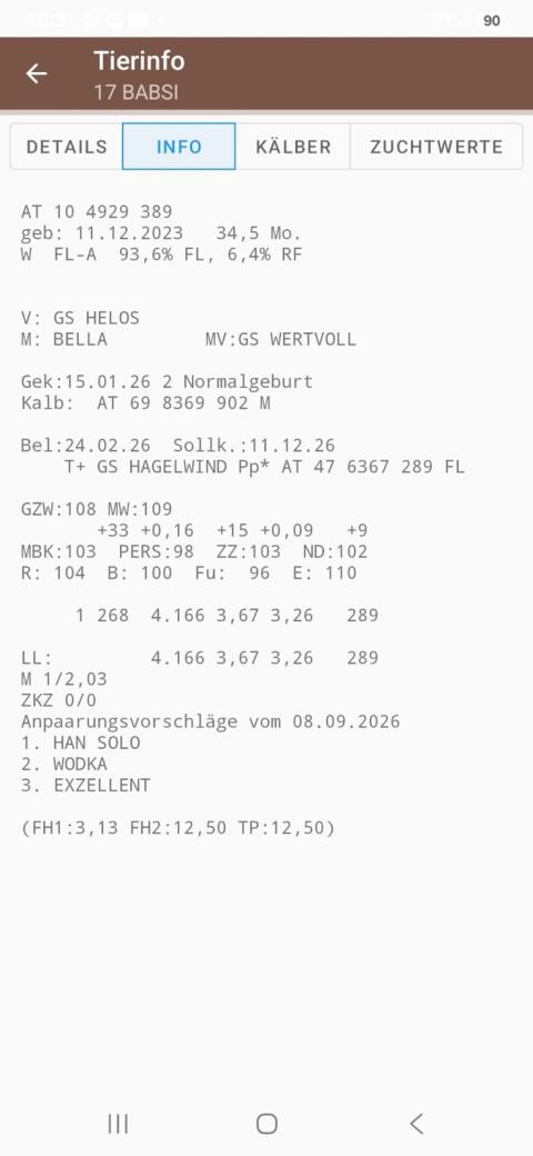 2 Bio-Heumilchkühe hochträchtig