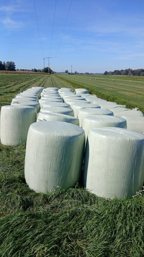 Maissiloballen, Siloballen