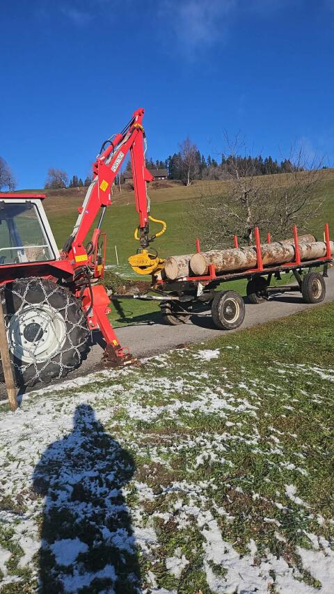 Leichter Kran 450 kg mit Hänger