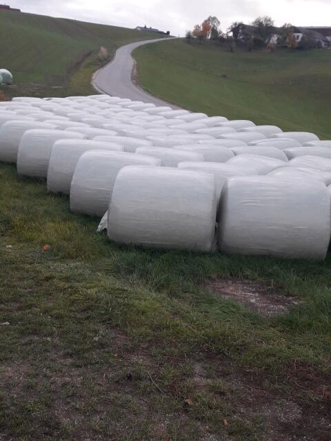Bio-Maissilageballen