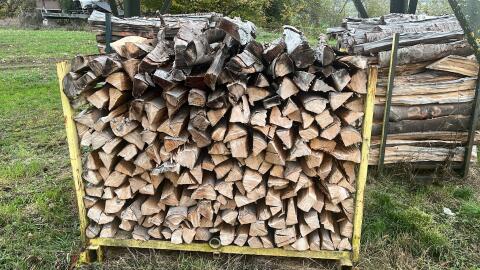 Buchenholz