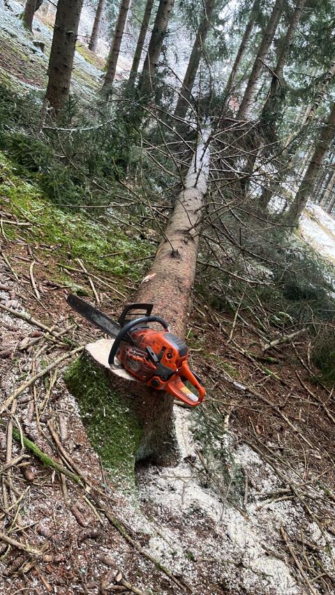 Waldarbeit