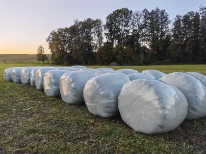 Siloballen (Gras)