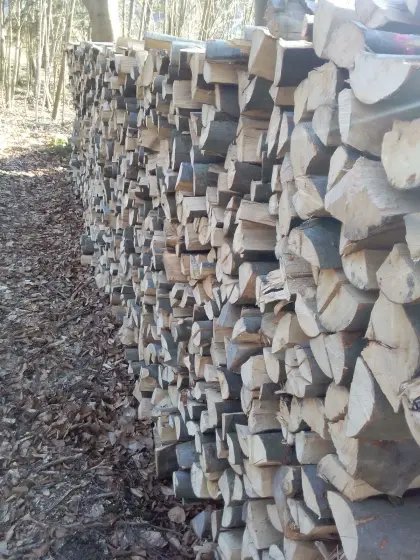 Brennholz