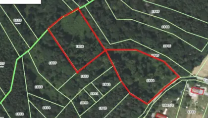8.646 m² Mischwald in Neusiedl, Heutal, privat zu verkaufen.