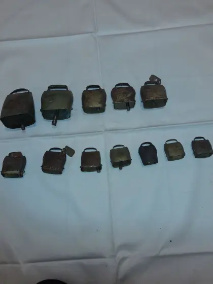 12 Schellen