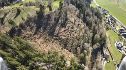 Waldgrundstück 2 ha