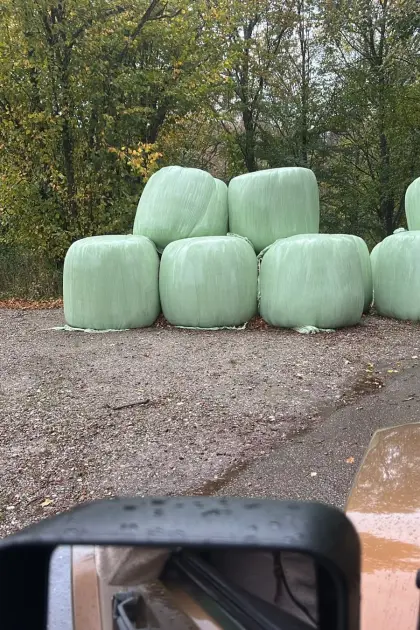 Siloballen zu verkaufen
