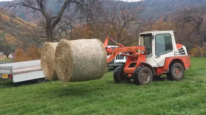 Holzanhänger, Anhänger