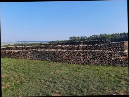 Brennholz