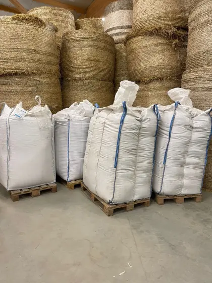 Gereinigter Bio-Weizen im Big Bag zu verkaufen