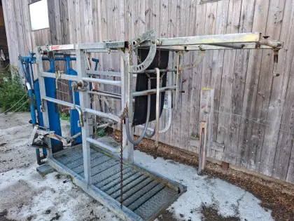 Klauenpflegestand