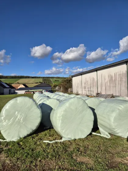 Verkaufe Silageballen