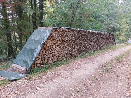 Brennholz