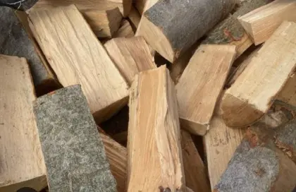 Buchen-Brennholz, trocken