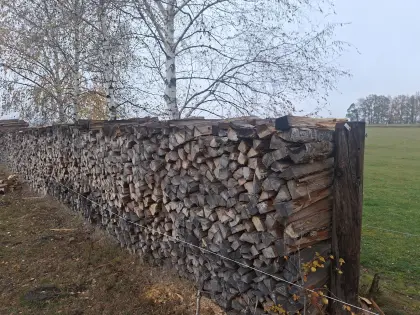 Brennholz