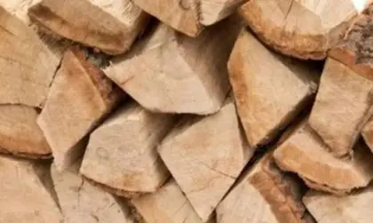 Kaminholz, Brennholz