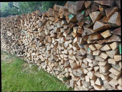 Brennholz Buche