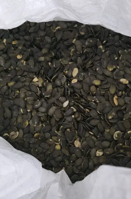 Verkaufe Gleisdorfer Kürbiskerne