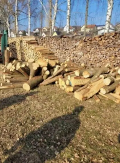 Brennholz