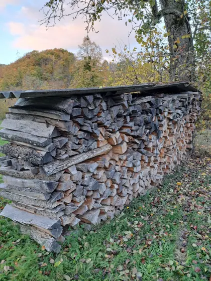 Brennholz