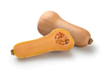 Bio-Kürbis