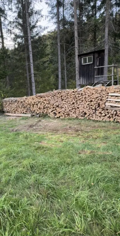 Brennholz zu verkaufen