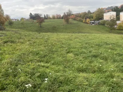 2 ha in Sierning zum Mähen