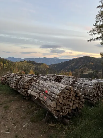 Eschen-Brennholz, Holzbündel
