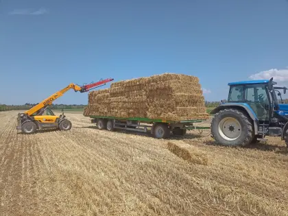Kleinballen Stroh