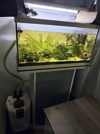 Aquarium