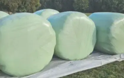 Gras-Silageballen