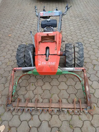 Rasant Super 90 Junior mit Rotax Benzinmotor