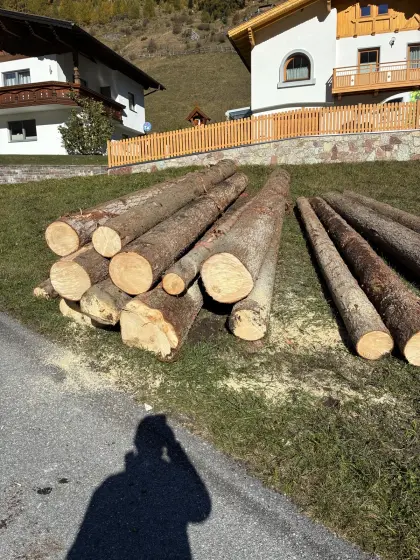 Fichtenholz