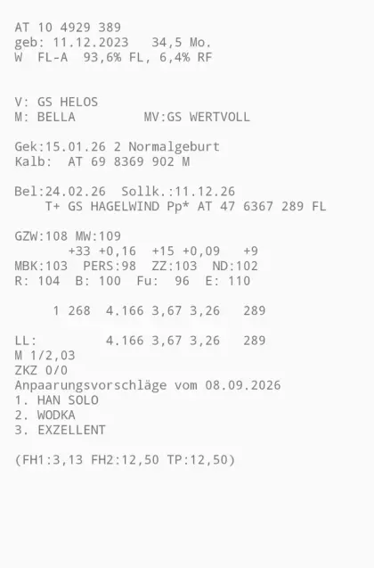 2 Bio-Heumilchkühe hochträchtig