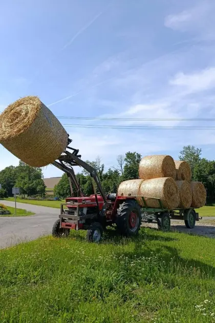 Strohballen