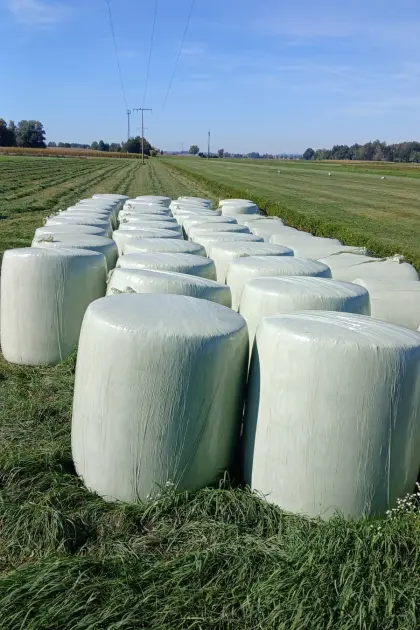 Maissiloballen, Siloballen